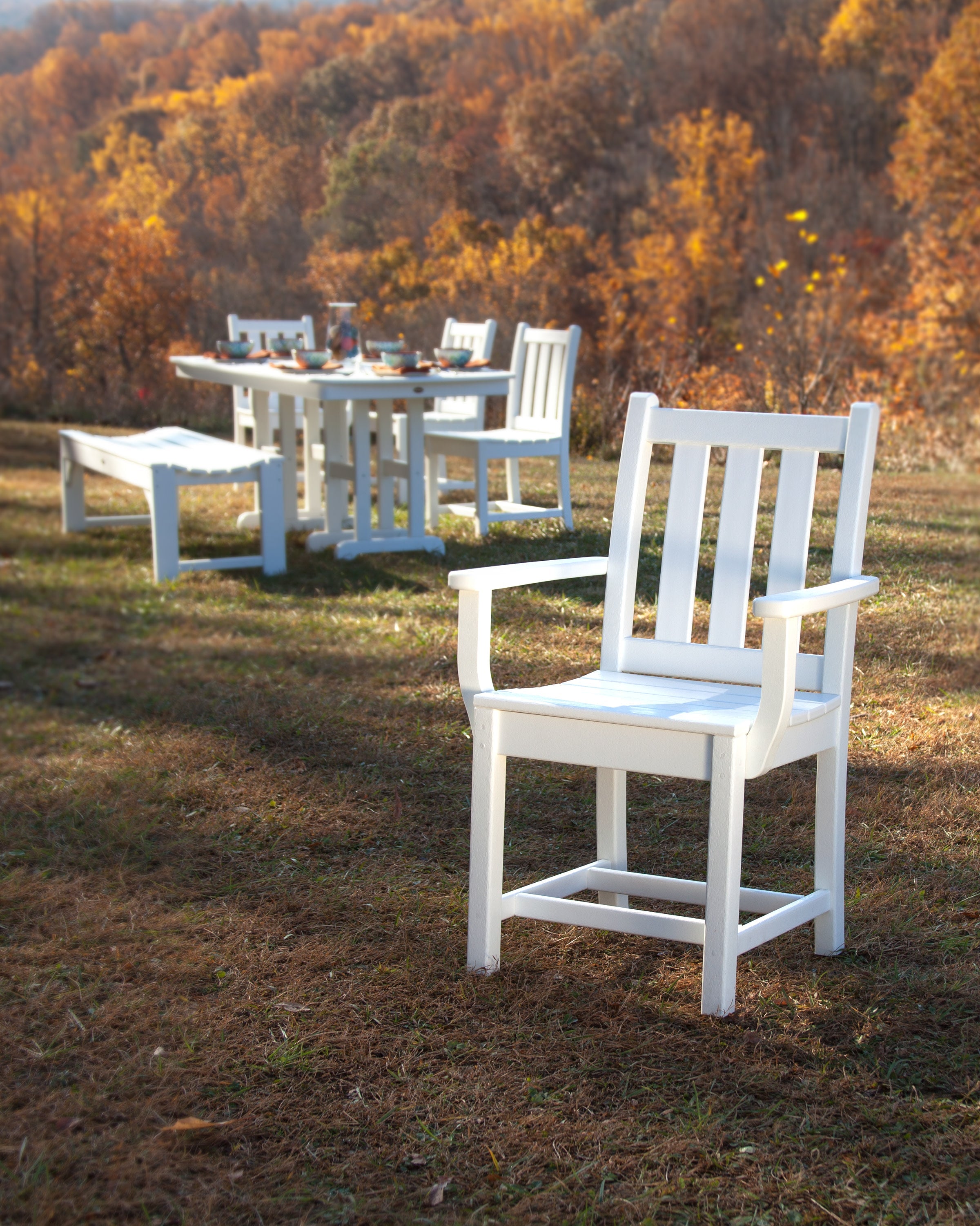 Traditional Garden Dining Arm Chair